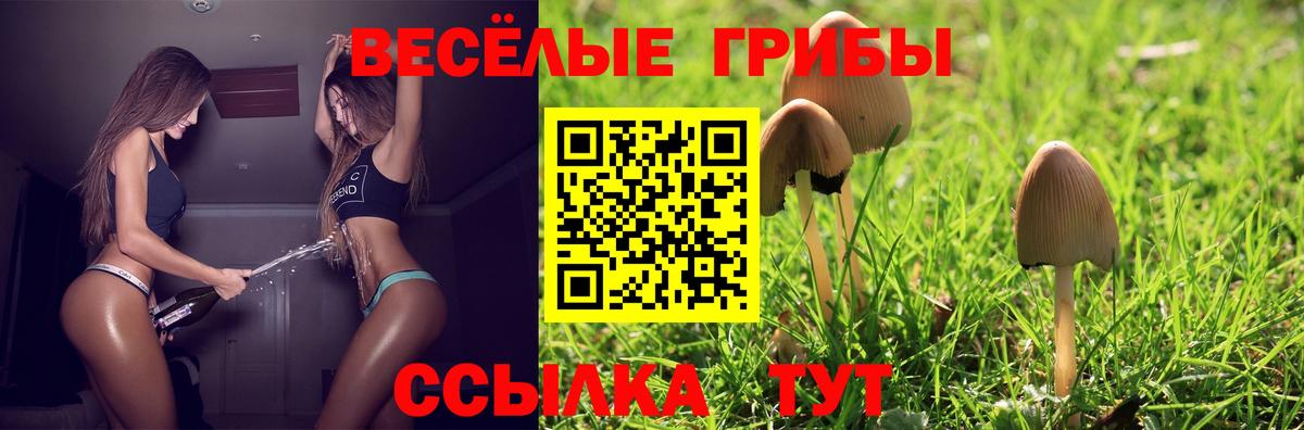 где можно купить   Псилоцибиновые грибы Psilocybine cubensis  Вход с VPN  Псилоцибиновые грибы ЛСД  Воскресенск 